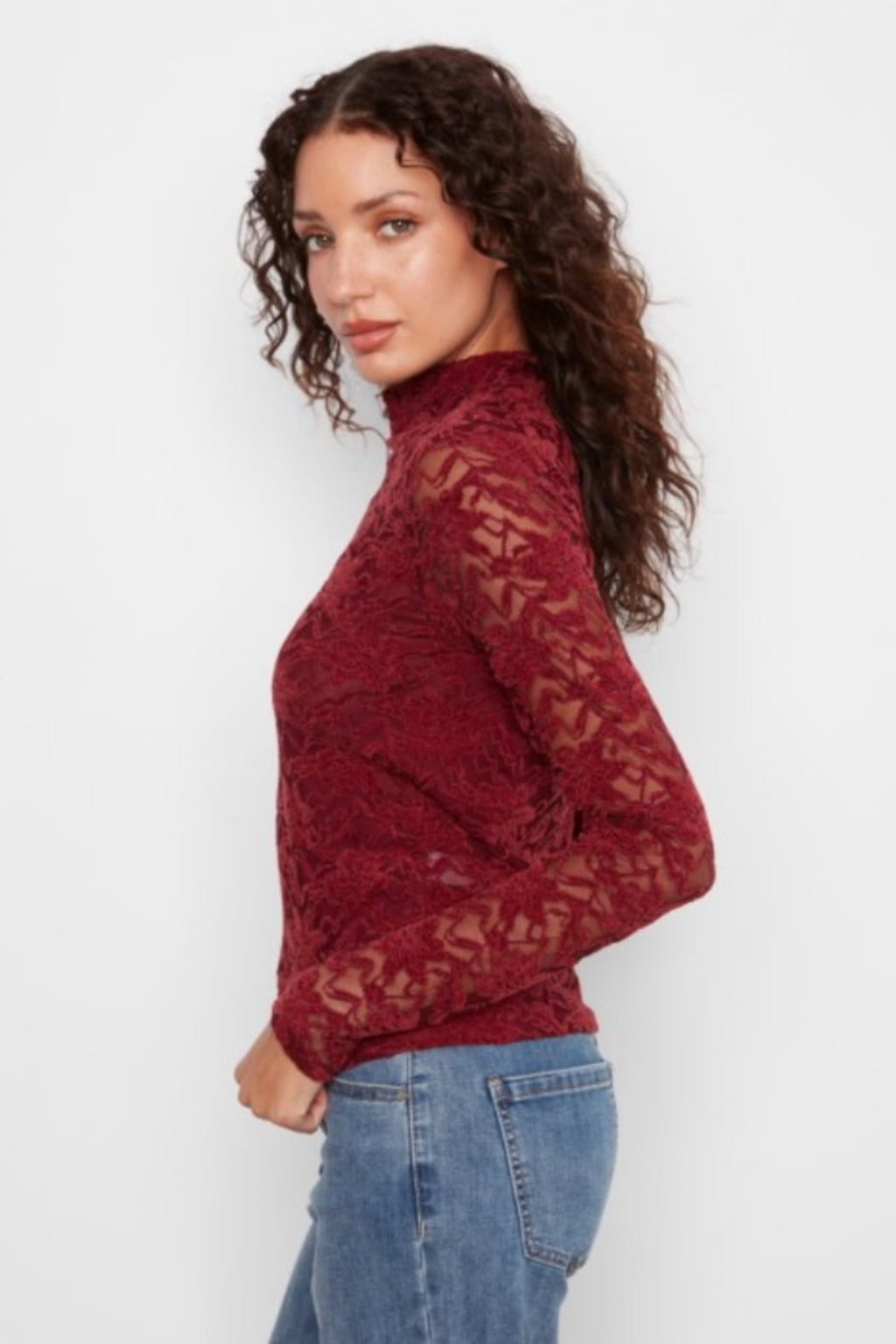 Flocked Lace Mock Neck Top