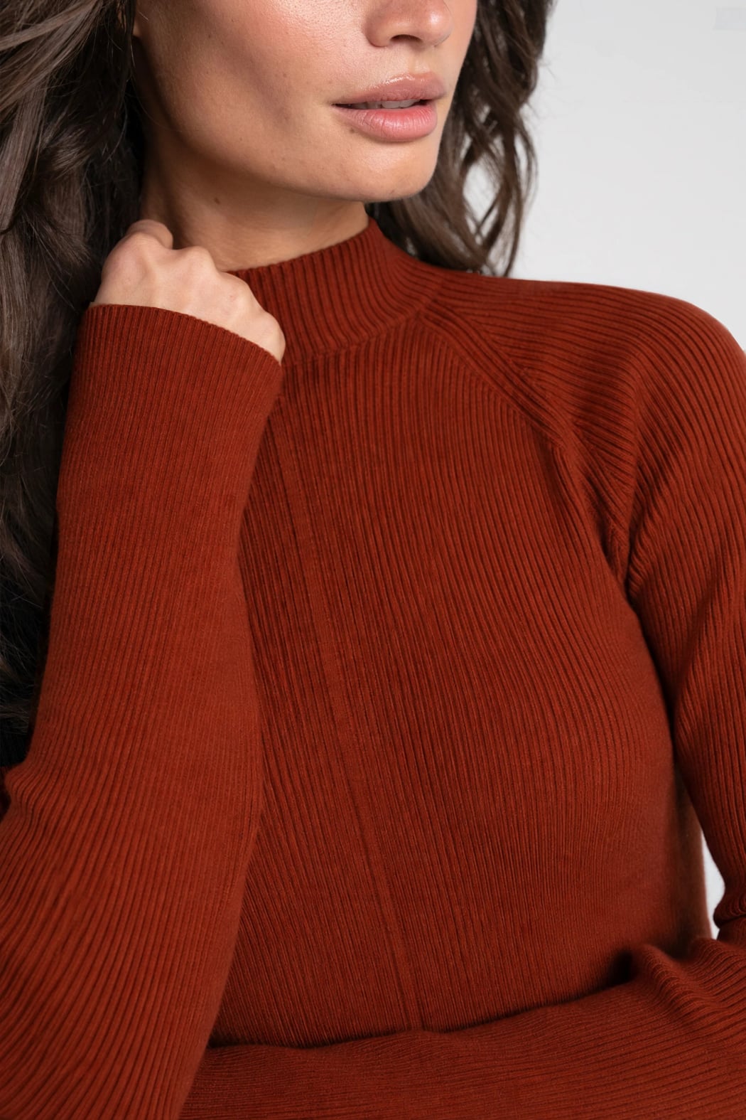 Long Sleeve Flare Turtleneck